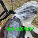 상경 이미지