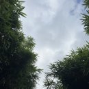 산돌아민박 네이버블로그