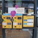 카미 플랙스 이미지