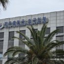 금빛직업소개소 네이버블로그