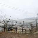 삼팔선의봄 이미지