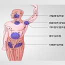피티공필라테스/PT