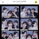 속초패션플루크