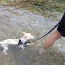 홍경태동물병원 이미지