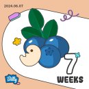 임신 7주~12주까지 / 육오빠 초음파앨범 / 임신초기 하혈 / 1차 기형아검사 후기