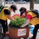 중부대로 이미지