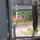 안테나하우스슈퍼 이미지
