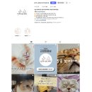 제선현 고양이 미용실 이미지