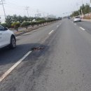 월전로 1 이미지