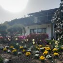 지리산학고을펜션 | 조용하고 아늑한 구례펜션 찾는다면? 지리산학고을펜션 후기💙