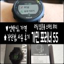 포러너 55 (GARMIN Forerunner 55) GPS 러닝 마라톤 입문용 스마트 워치 후기(언박싱, 가격, 장단점 등)