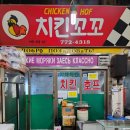 국제오징어 이미지