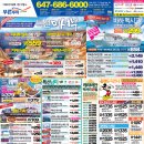 푸른아메리카투어 이미지