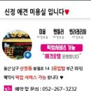 신정애견 이미지
