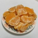 3월 일상 : kbo야구개막,,하나도 즐겁지않아,,잠실 야구장, 한화 볼파크, 대전 당일치기, 성심당, 잠실...