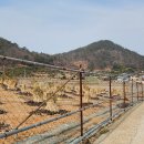 두원마을 이미지