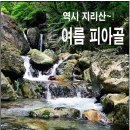 지리산 피아골[하계단합대회]예약/좌석배치(8월1일) 이미지