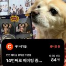 런던베이글뮤지엄 수원 포장 웨이팅 후기 베스트 메뉴 조합