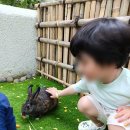 [코트야드 바이 매리엇 발리 누사두아 리조트] 키즈클럽, 만4세아이가 푹 빠져 하루종일 있겠다던 키즈...