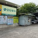 사르토리아마스티오 이미지