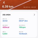 대천동물병원 | 10월 일상