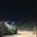 W-골프존 | 골프존카운티안성W 야간 그린피 캐디피 난이도 코스공략 3부스마트캐디후기