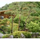 지리산통나무산장 이미지