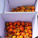 만원에행복 이미지