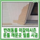 반려동물 이갈이시즌 문틀 깨문곳 필름 시공