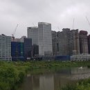 부강메디칼 이미지