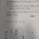 대치 음운 변동 현상 이미지