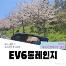 에이스카 | EV6롱레인지 | 제주도렌트카 내돈내산후기(에이스렌트카)