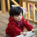 세이치즈 이미지