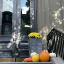 호박 관광나이트 이미지