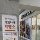 가드니아고양