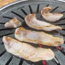 월성식육 | 달서구 월성동 맛집 황소걸음식육식당 삼겹살·목살·항정살 솔직 후기|