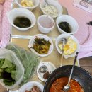 샤인빌;카페샤인 | 캠핑카 타고 제주도여행4ㅣ카페드르쿰다ㅣ말타기ㅣ먹이주기ㅣ카트체험ㅣ목장카페추천(안함주의)