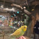 울산 가볼만한 곳 아이랑 실내동물원 추천 헬로우쥬 동물원