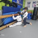 T.S 한국체대 한일태권도장 이미지