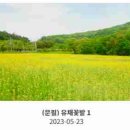 국립산림치유원 이미지