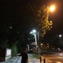 엘리스레스토랑 이미지