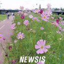 광주 천변길2 이미지