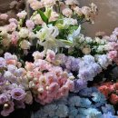 원종인의Flower 이미지