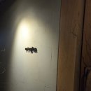 [덕계] 아는만큼  맛있다 와인의 품격 | '26.2월의 밍글스 디너