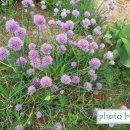 고흥의 하루 이미지