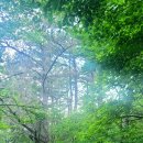 인혜의원 이미지