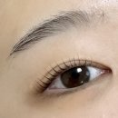 봉월로L | 울산 신정동 속눈썹펌 람므뷰티