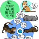 소리나라 이미지