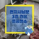 먼지사냥꾼 이미지