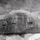 비로사진공대사보법탑비 이미지